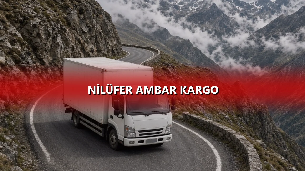 Nilüfer Ambar Kargo