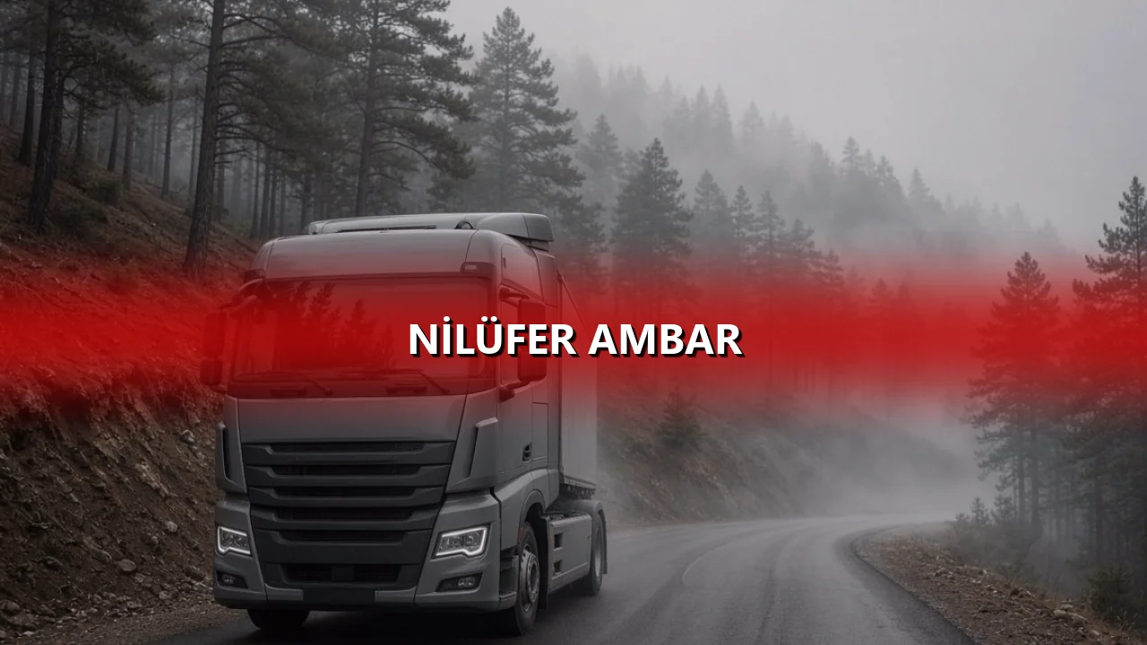 Nilüfer Ambar